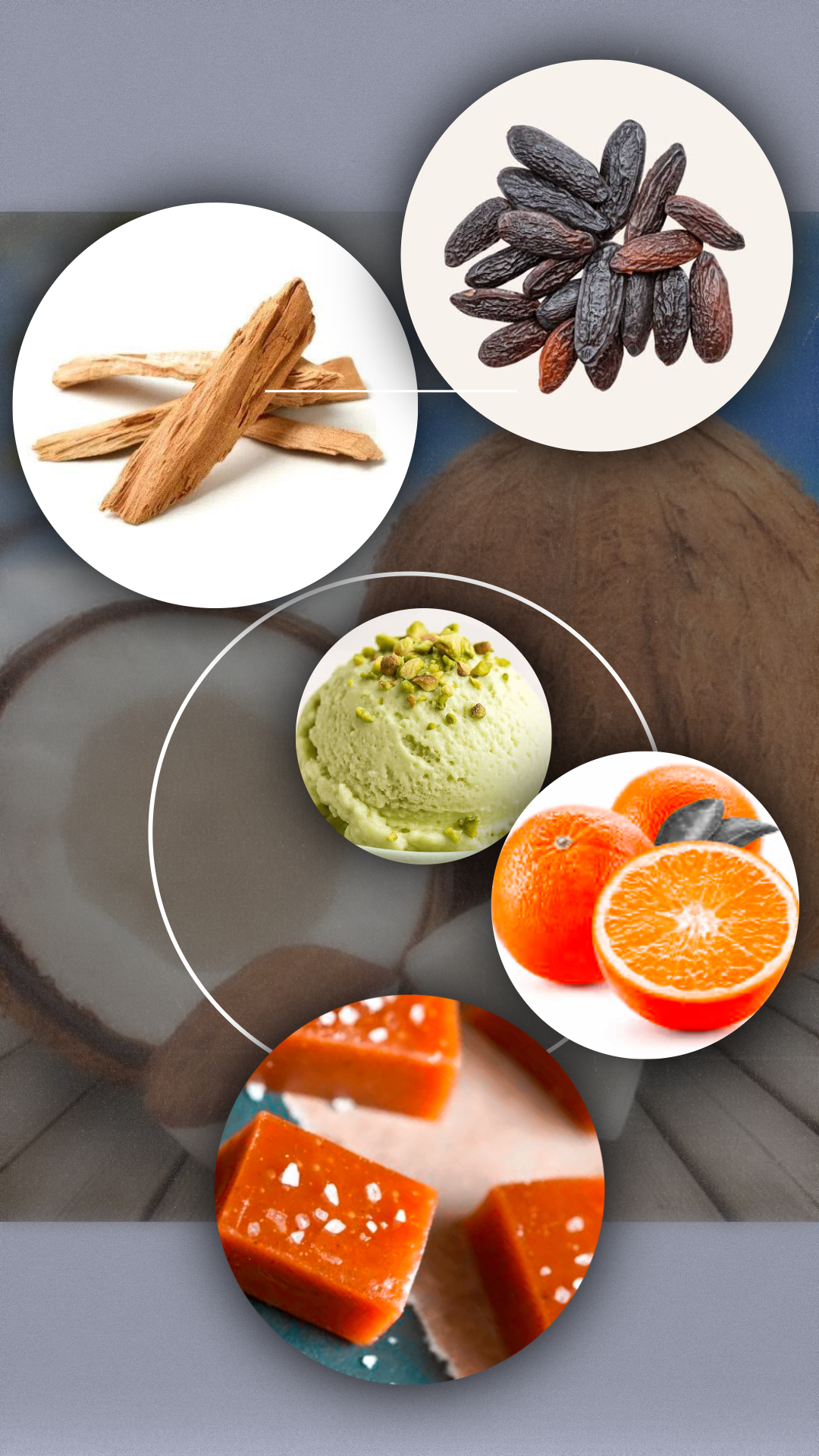 COCONUT, PISTACHIO, SANDALWOOD, ORANGE & SALTED CARAMEL - FRAGRANCE OIL